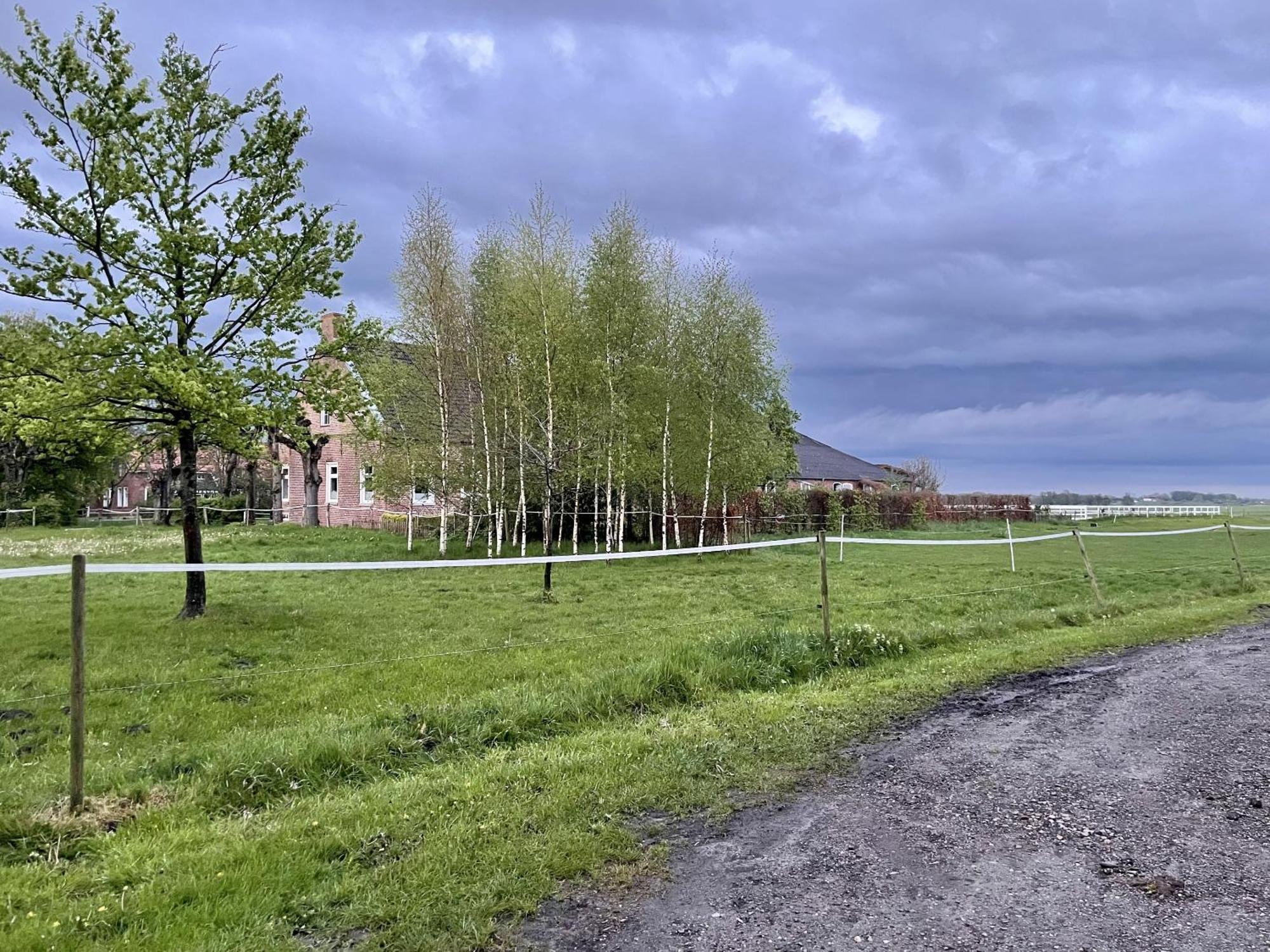 Steinhaus Hof Villa Bunde  Eksteriør billede