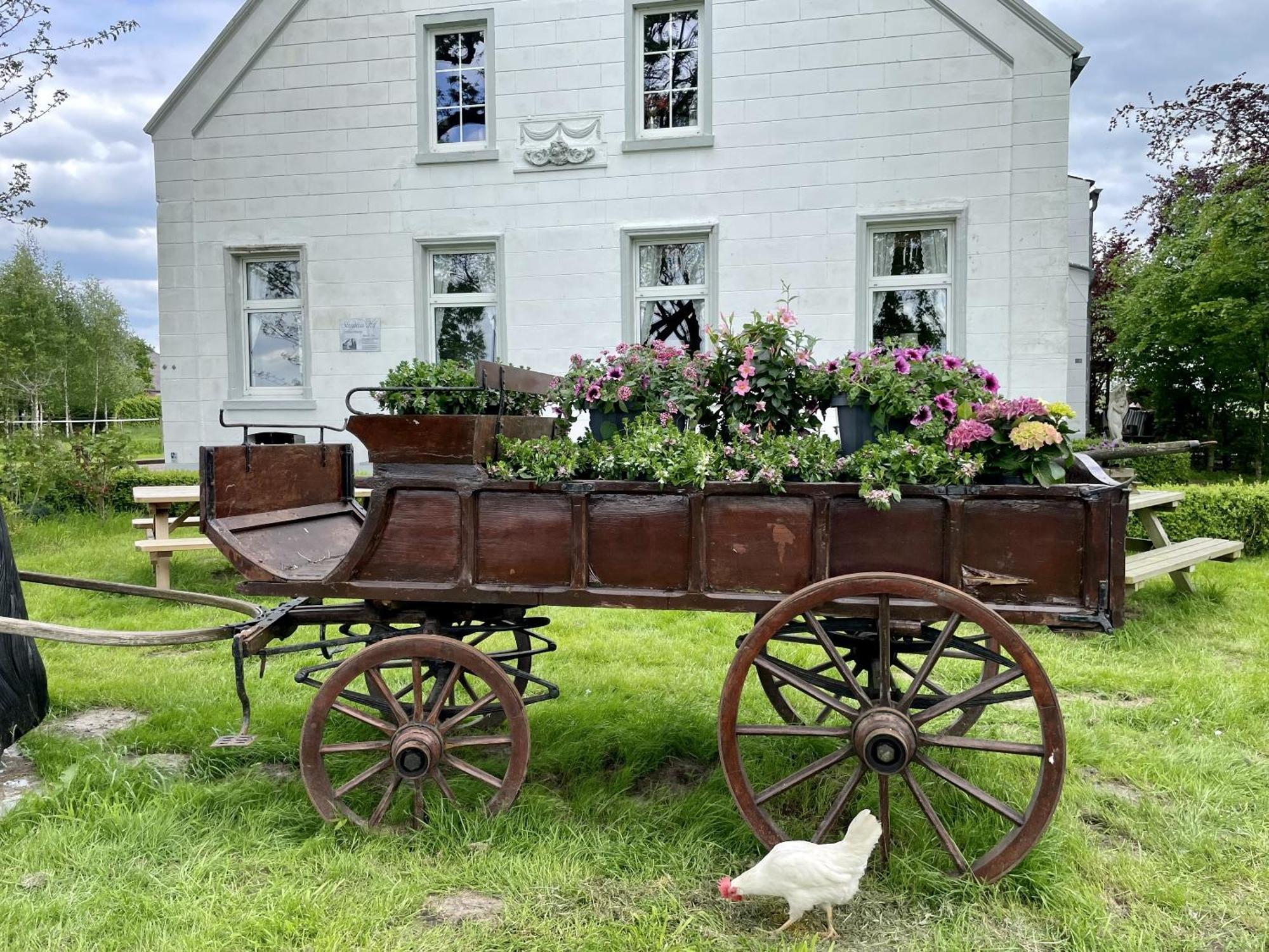 Steinhaus Hof Villa Bunde  Eksteriør billede